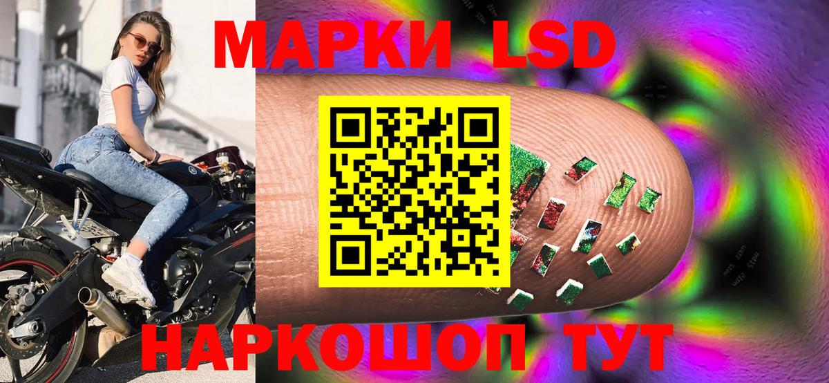 Сальск  Марки N-bome 1,5мг  Марки N-bome  Марки N-bome 1,5мг  Вход с VPN 