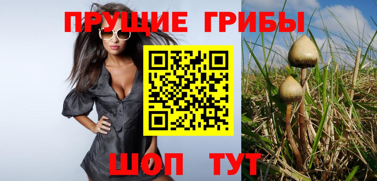 Сальск  Галлюциногенные грибы Psilocybe  Вход с VPN 